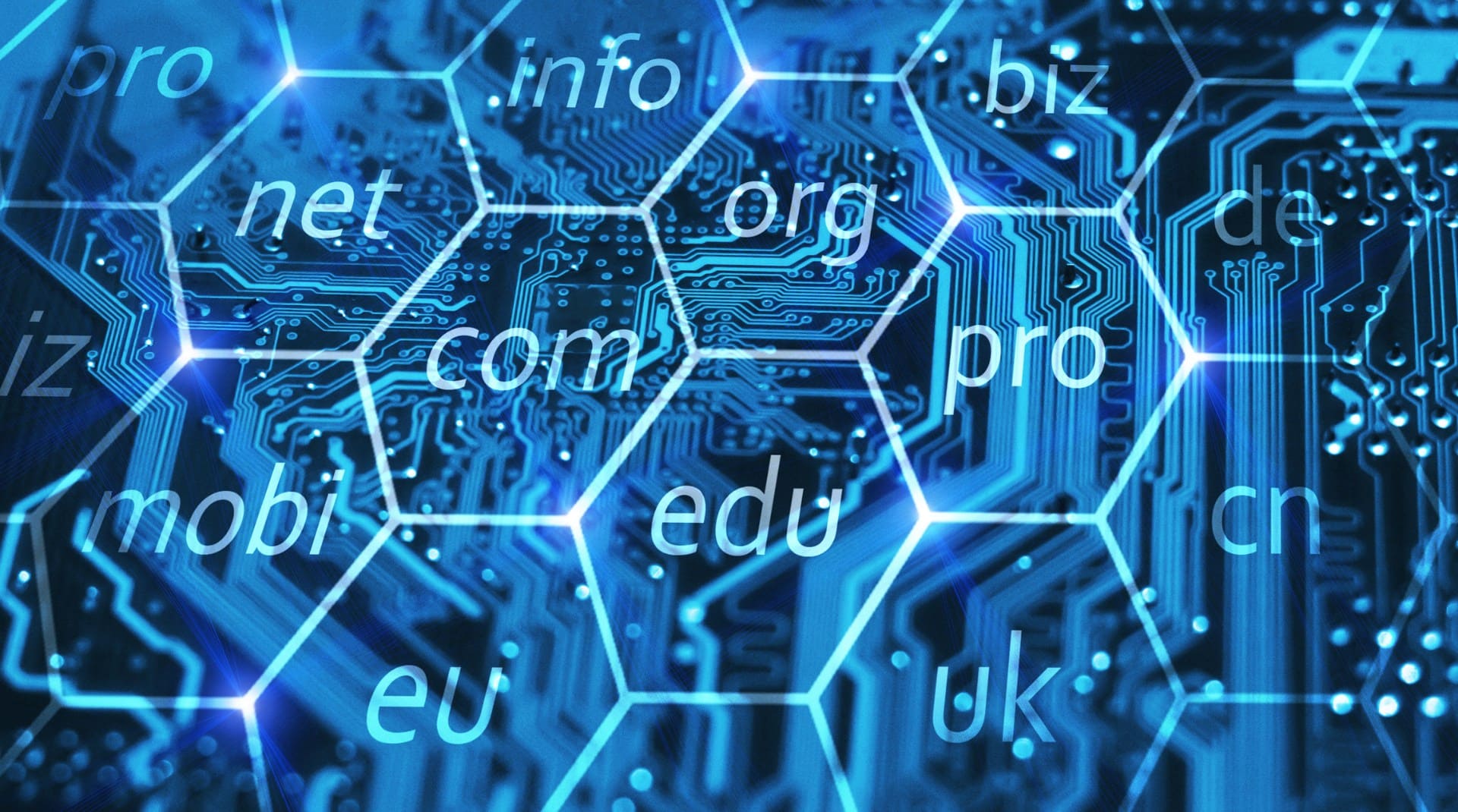 Domain service provider in USA